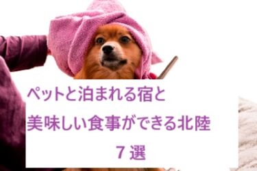 ペットと泊まれる宿で食事が美味しい北陸の美食宿7選!福井、石川、新潟、富山、添い寝も可能な宿も紹介